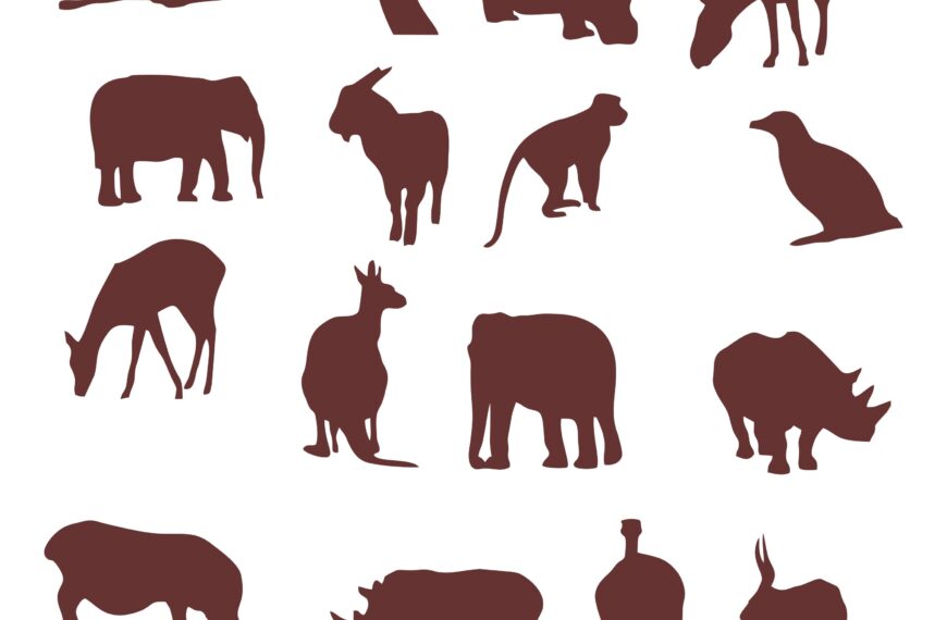 Animal vector Art icon images animal png black…