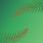 vector backround wallpaper images illustrator designed by Sushil Selwal