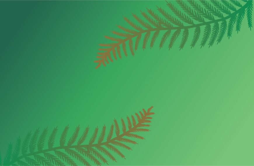 vector backround wallpaper images illustrator designed by Sushil Selwal