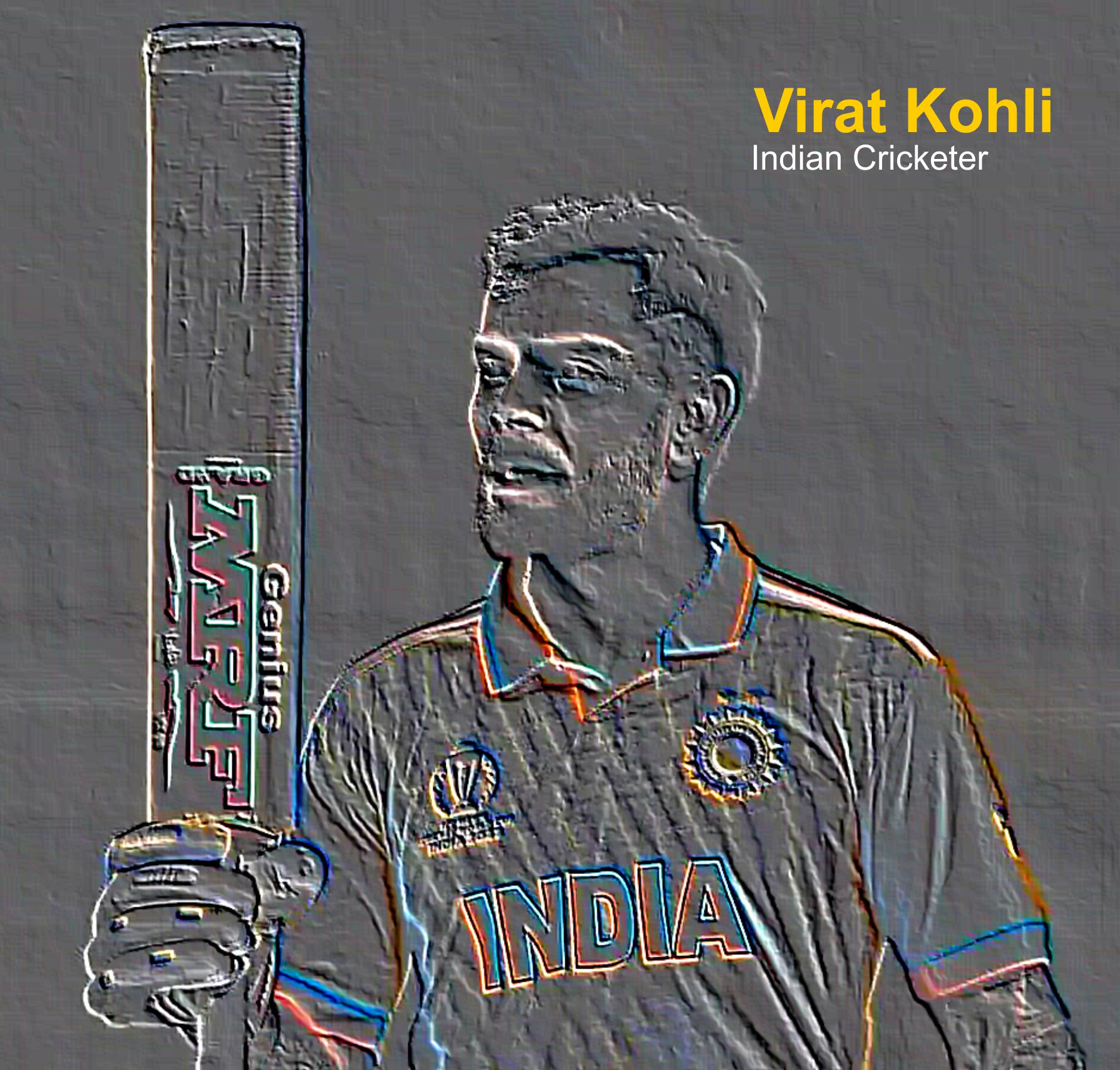 Virat Kohli Indian Cricket Player